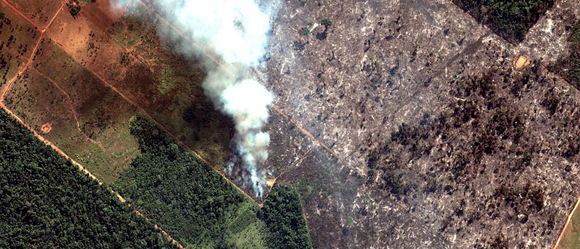 The Amazon Rainforest Is Burning