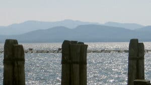 wp-image-9592
